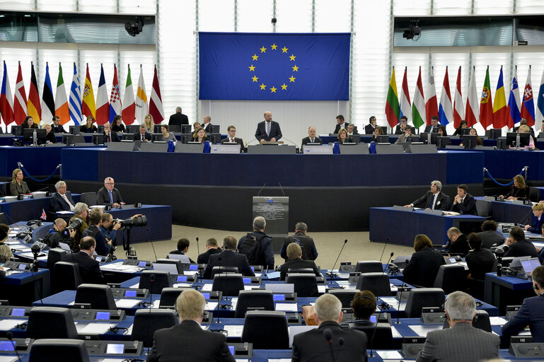 Fotografia 16: Review of the Italian Presidency - Plenary session week 03 2015