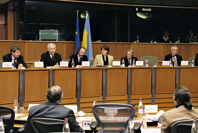 Fotografija 5: Meeting of the EU-Ukraine Parliamentary Cooperation Committee, at the EP in Brussels.