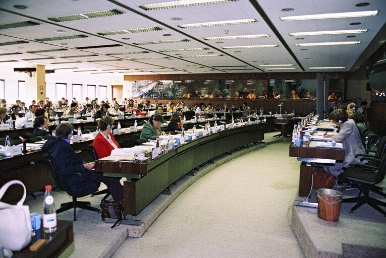 Meeting of the Committee on Women's Rights