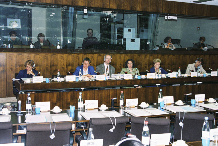 Meeting of the Committee on Women's Rights