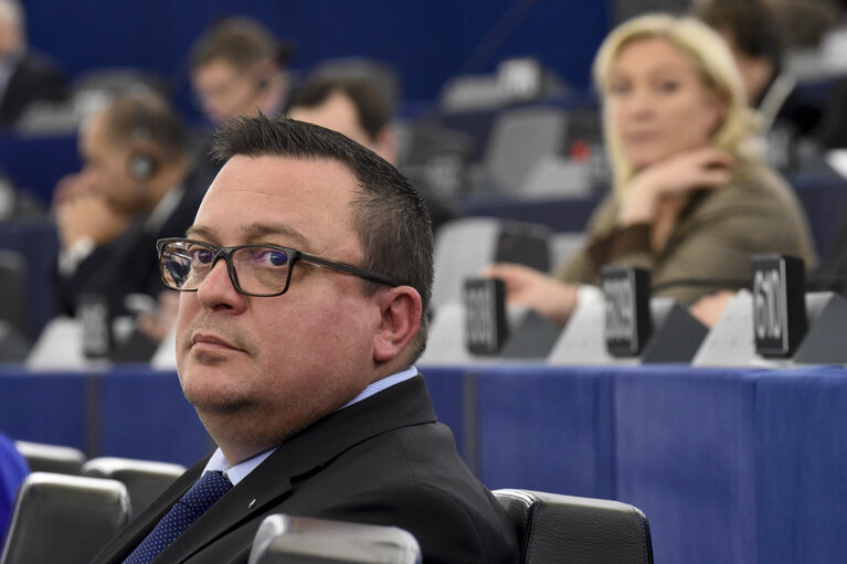 Photo 4 : Dominique MARTIN during the Plenary session week 03 2015 in Strasbourg