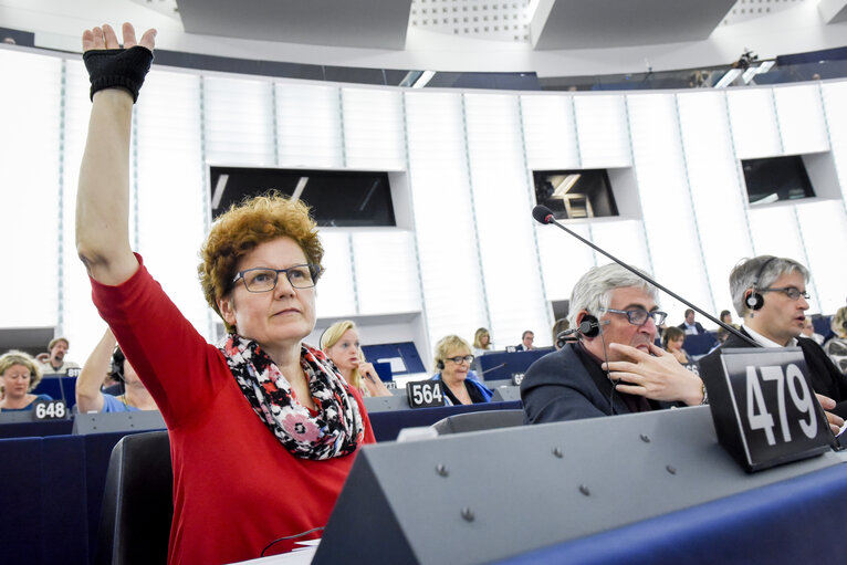 Maria HEUBUCH in the EP in Strasbourg