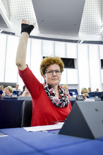 Fotó 1: Maria HEUBUCH in the EP in Strasbourg