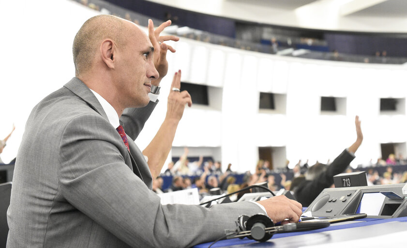 Razvan POPA in the EP in Strasbourg