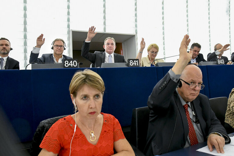 Photo 4: Iuliu WINKLER in the EP in Strasboourg