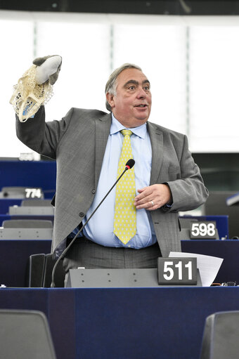 John FLACK in the EP in Strasbourg