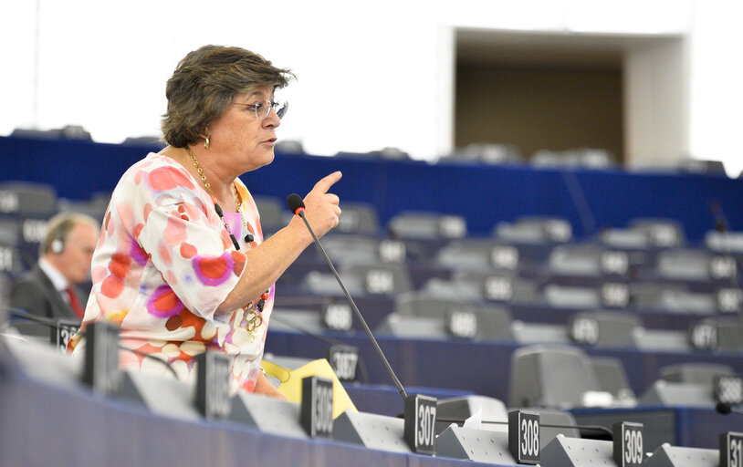 Fotografi 9: EP Plenary session - Autonomous weapon systems