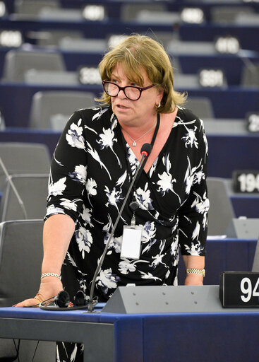 EP Plenary session - Autonomous weapon systems