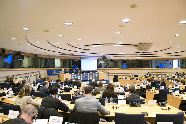 Fotogrāfija 13: AFCO Public hearing  - Institutional structure and governance of existing forms of enhanced cooperation