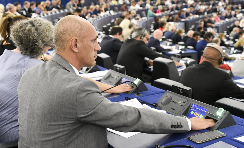 Fotografija 2: Razvan POPA in the EP in Strasbourg