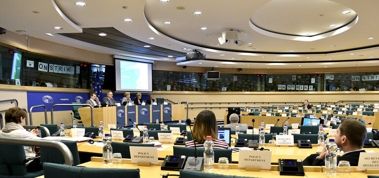 Foto 3: SEDE committee meeting. Special report by the European Court of Auditors on EUCAP Sahel