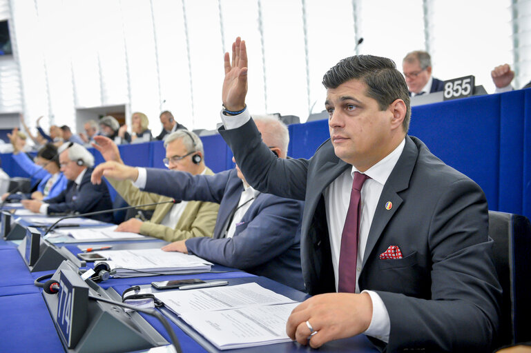 Constantin-Laurentiu REBEGA in the EP in Strasbourg.