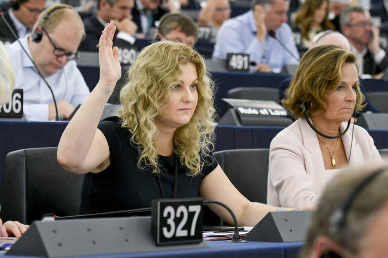 Foto 1: Nadja HIRSCH in the EP in Strasbourg