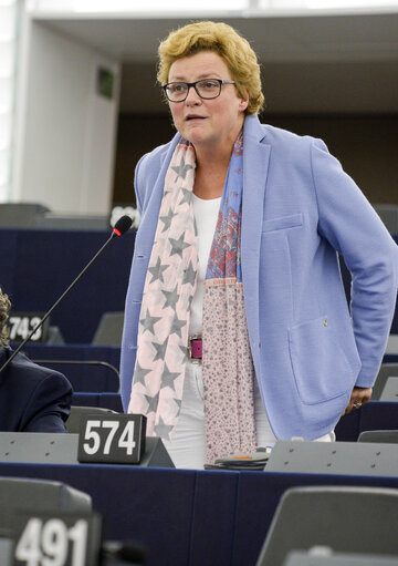 Fotografia 7: Plenary session - 2019 budget - Trilogue mandate