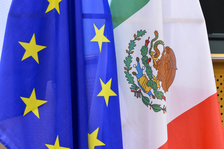 XXV Joint Parliamentary Committee EU-Mexico.