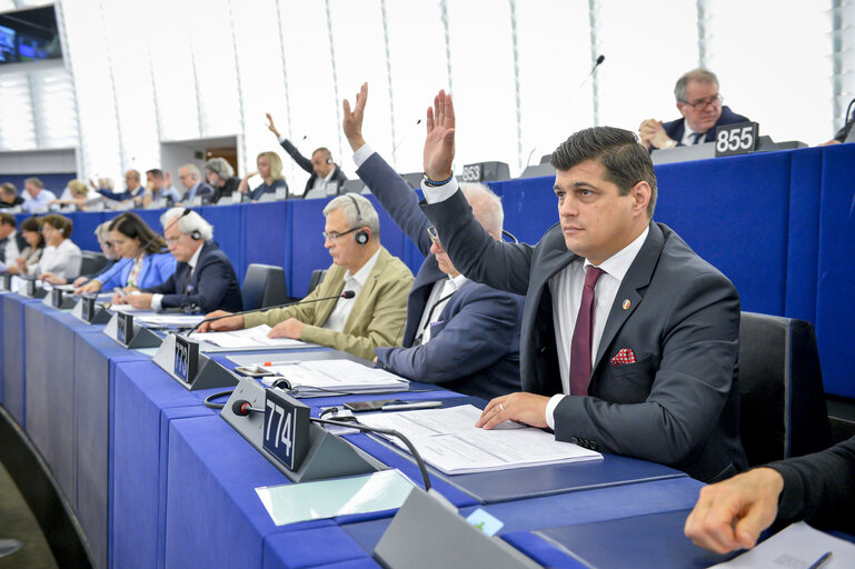 Constantin-Laurentiu REBEGA in the EP in Strasbourg.