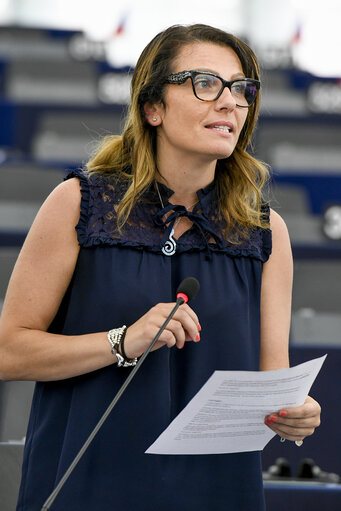 Foto 5: Plenary session - Explanations of votes