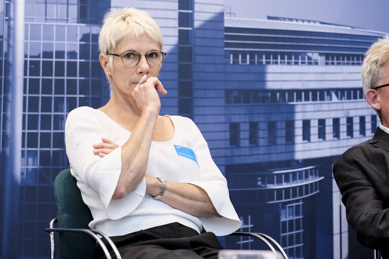 EPRS policy round table - Environmental sustainability transitions in Europe: options and insights for policymakers