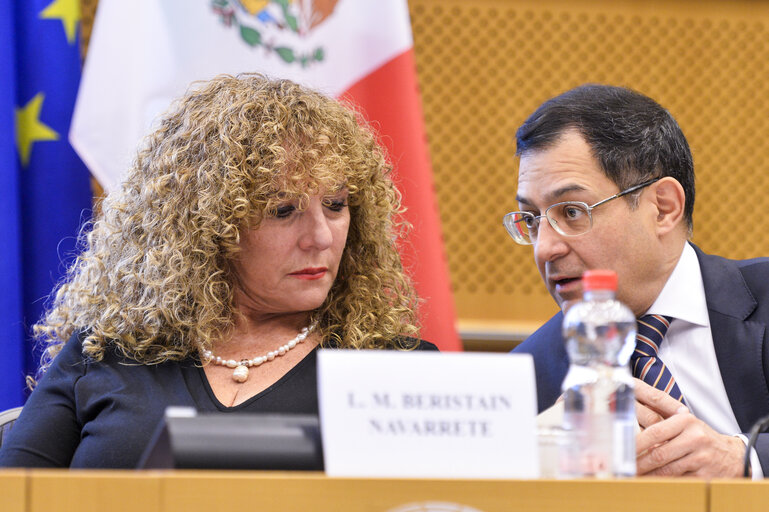 Foto 9: XXV Joint Parliamentary Committee EU-Mexico.