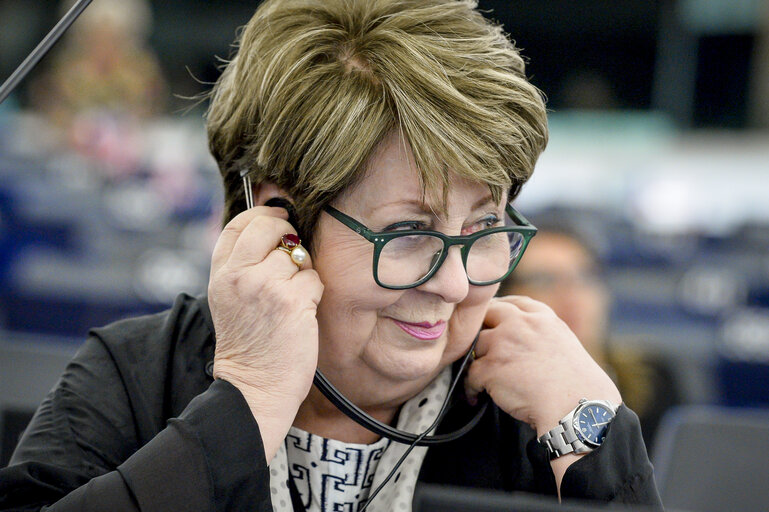 Photo 14: Plenary session - Joint debate - Mobility package