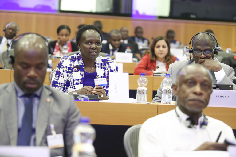 Photo 39 : 35th session of the ACP-EU Joint Parliamentary Assembly. POL Committee