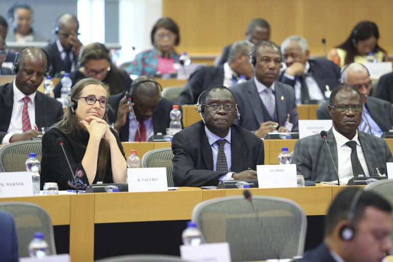 Fotografi 24: 35th session of the ACP-EU Joint Parliamentary Assembly. POL Committee