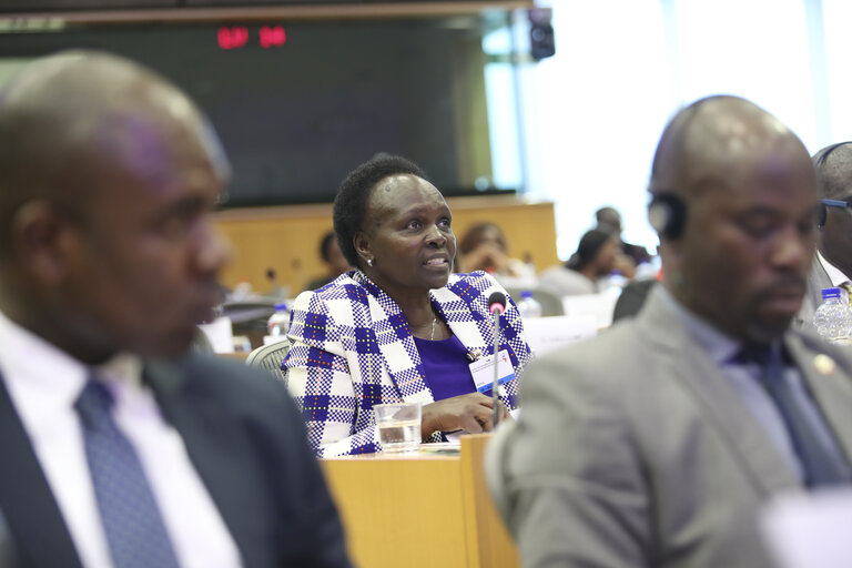 Photo 38 : 35th session of the ACP-EU Joint Parliamentary Assembly. POL Committee