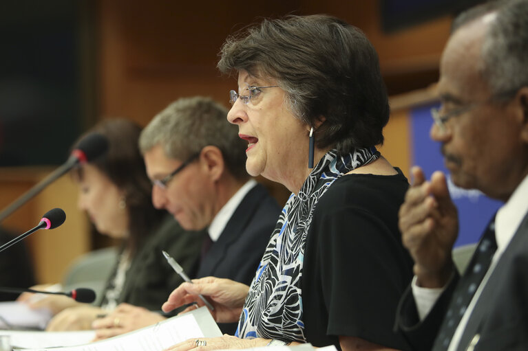 Billede 11: 35th session of the ACP-EU Joint Parliamentary Assembly. SOC Committee