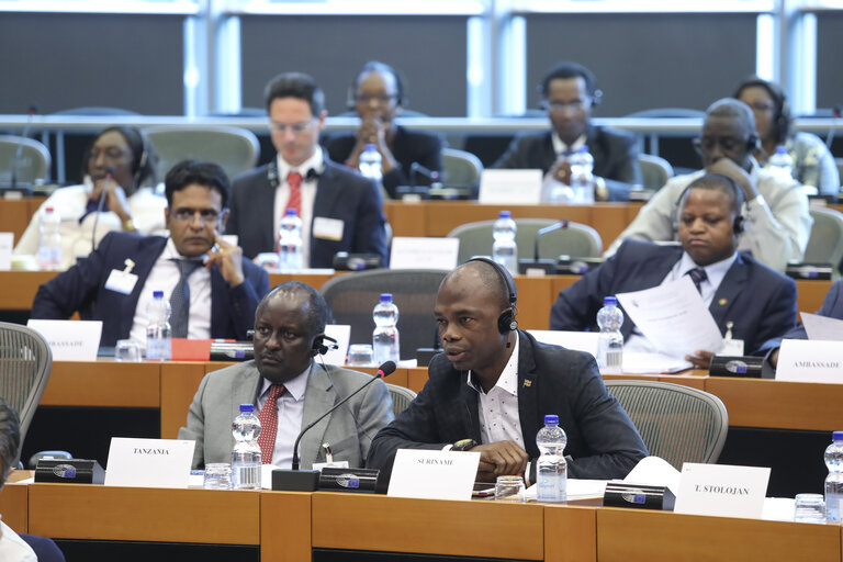 Photo 6 : 35th session of the ACP-EU Joint Parliamentary Assembly. ECON Committee