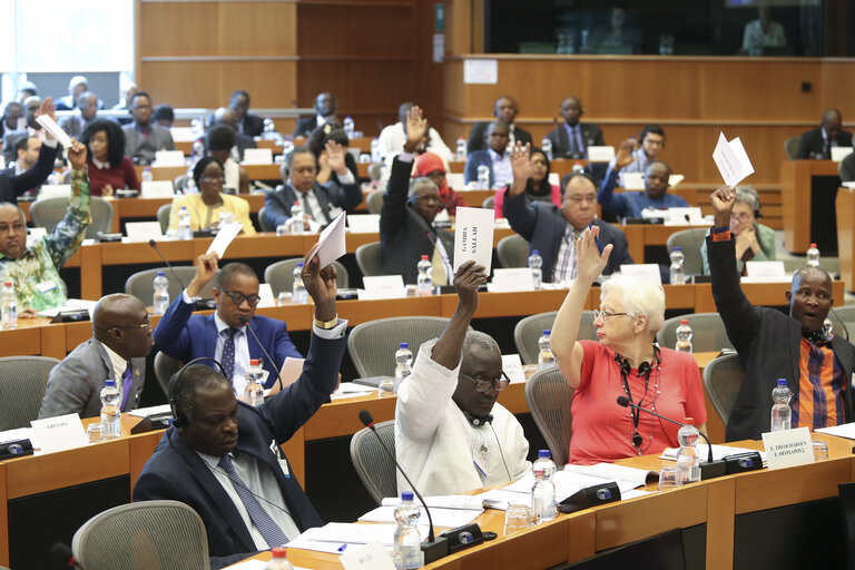 Photo 49 : 35th session of the ACP-EU Joint Parliamentary Assembly. SOC Committee