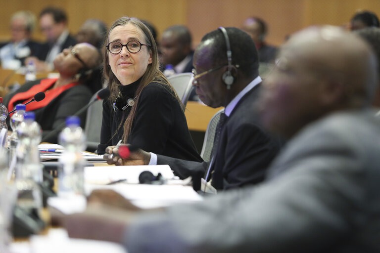 Photo 35 : 35th session of the ACP-EU Joint Parliamentary Assembly. POL Committee