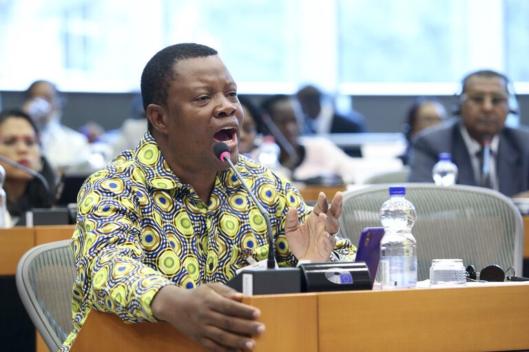 Photo 5 : 35th session of the ACP-EU Joint Parliamentary Assembly. ECON Committee