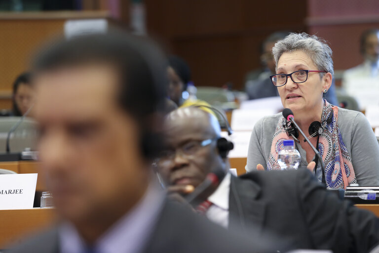 Photo 9 : 35th session of the ACP-EU Joint Parliamentary Assembly. ECON Committee