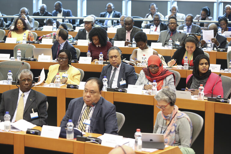 Billede 5: 35th session of the ACP-EU Joint Parliamentary Assembly. SOC Committee