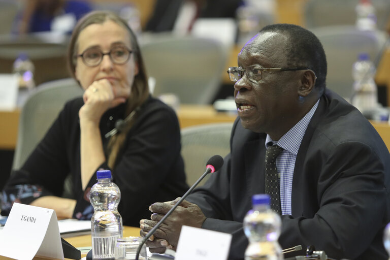 Photo 26 : 35th session of the ACP-EU Joint Parliamentary Assembly. POL Committee