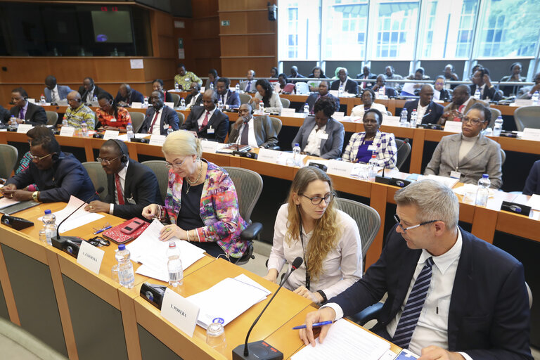 Photo 46 : 35th session of the ACP-EU Joint Parliamentary Assembly. SOC Committee