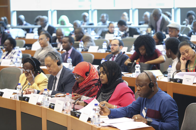 Photo 48 : 35th session of the ACP-EU Joint Parliamentary Assembly. SOC Committee