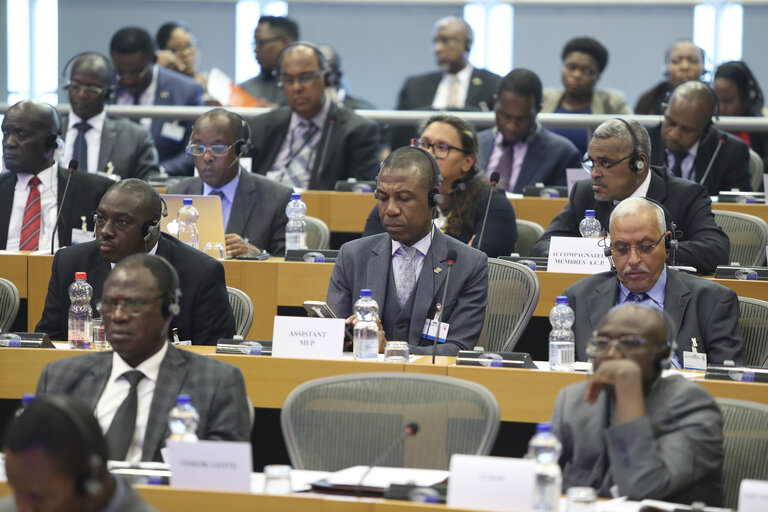 Photo 42 : 35th session of the ACP-EU Joint Parliamentary Assembly. POL Committee