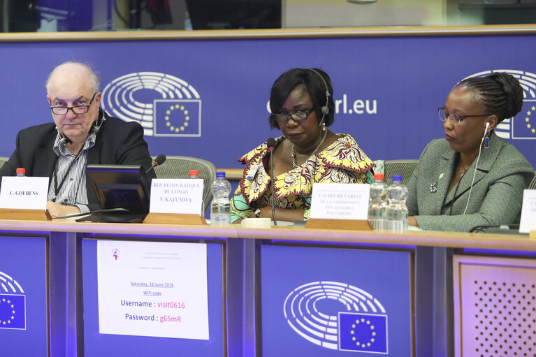 Fotografi 25: 35th session of the ACP-EU Joint Parliamentary Assembly. POL Committee