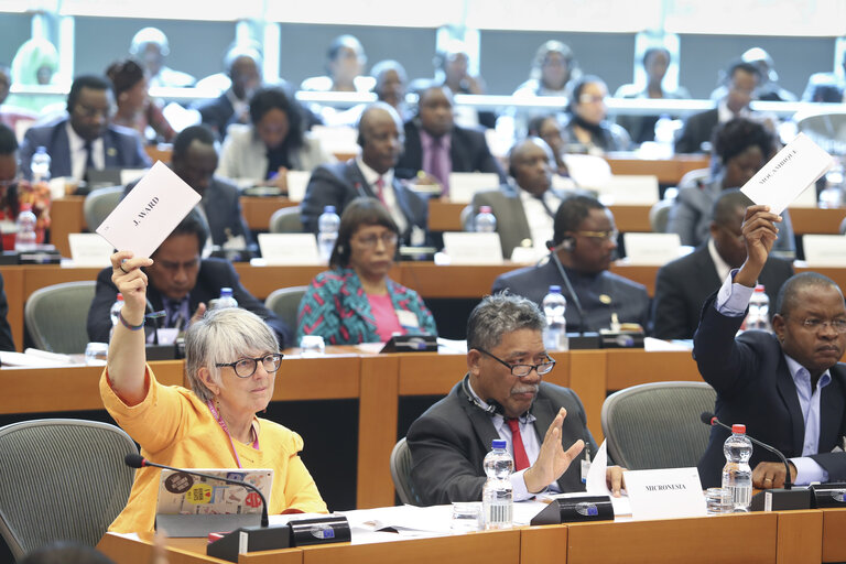 Billede 1: 35th session of the ACP-EU Joint Parliamentary Assembly. SOC Committee