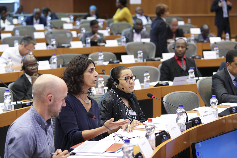 Photo 14 : 35th session of the ACP-EU Joint Parliamentary Assembly. ECON Committee