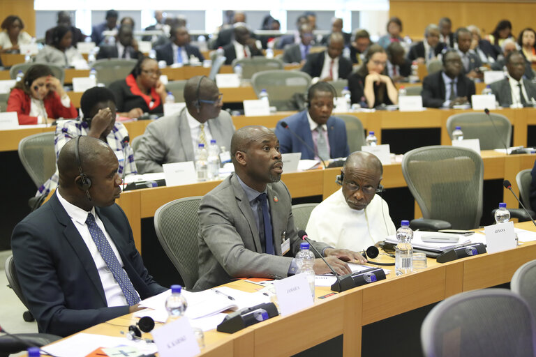 Photo 43 : 35th session of the ACP-EU Joint Parliamentary Assembly. POL Committee