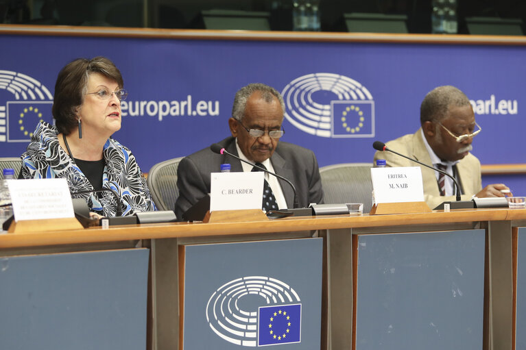 Billede 7: 35th session of the ACP-EU Joint Parliamentary Assembly. SOC Committee