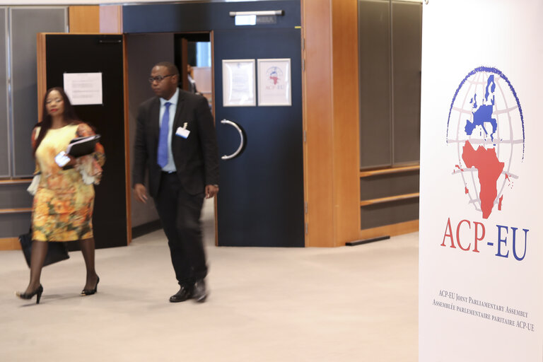 Photo 24 : 35th session of the ACP-EU Joint Parliamentary Assembly. ECON Committee