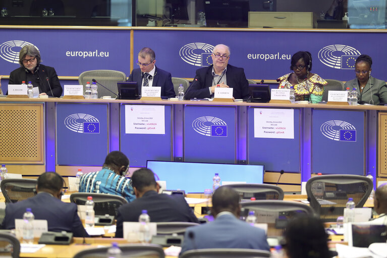 Fotografi 23: 35th session of the ACP-EU Joint Parliamentary Assembly. POL Committee