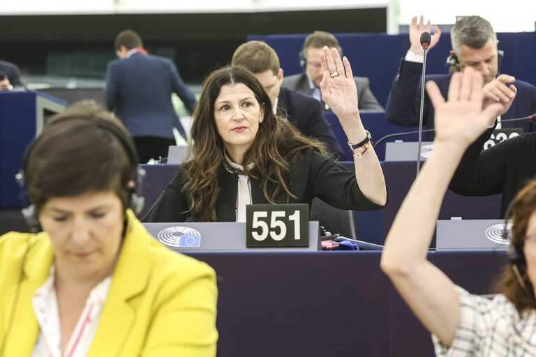 Billede 31: EP Plenary session  - Voting session