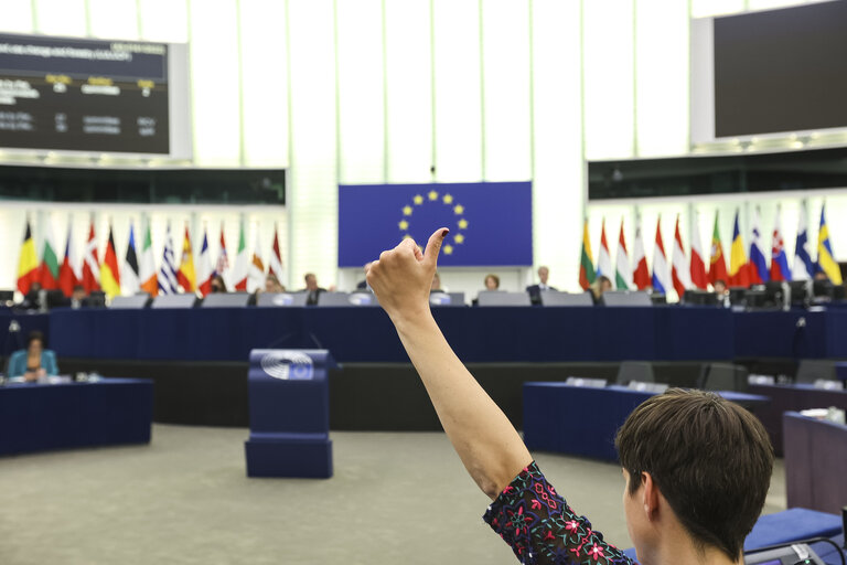 Fotografija 20: EP Plenary session  - Voting session