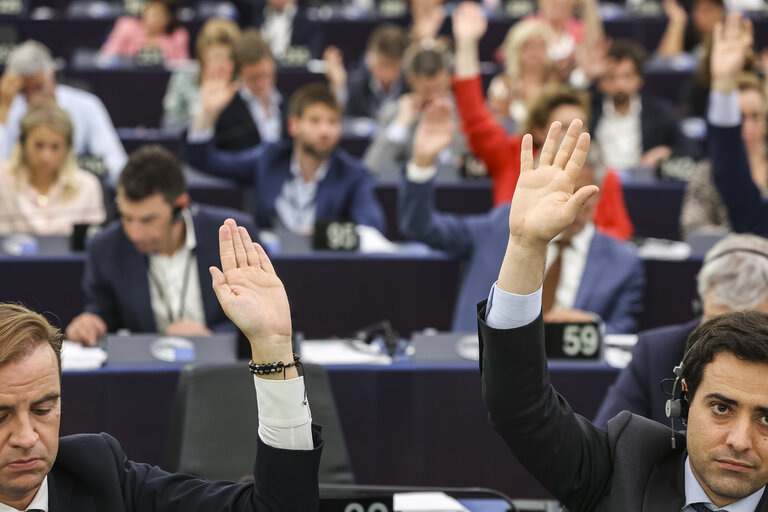 Fotografija 33: EP Plenary session - Voting session