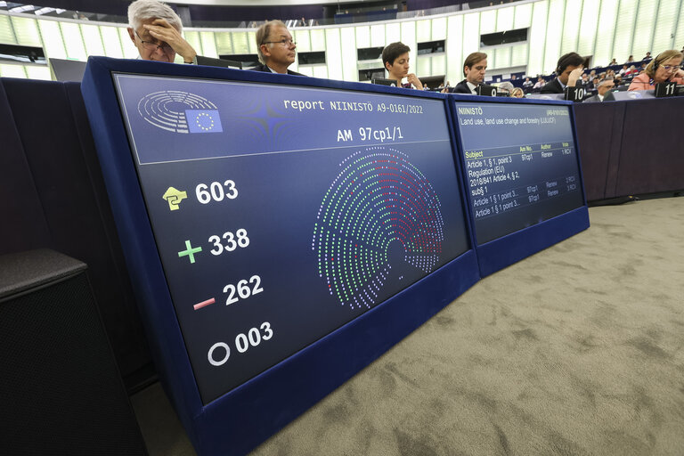 Fotografia 13: EP Plenary session  - Voting session