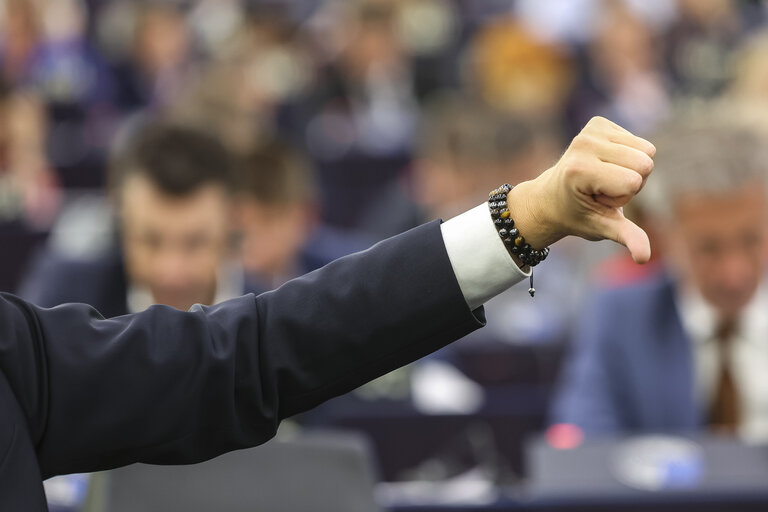 EP Plenary session  - Voting session